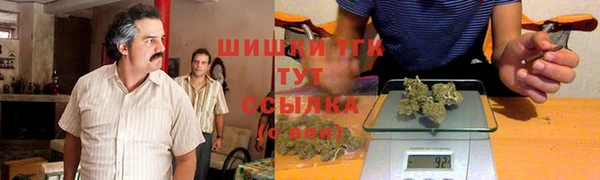 крисы Абаза