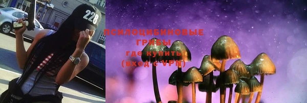 стафф Абинск