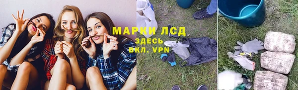 крисы Абаза