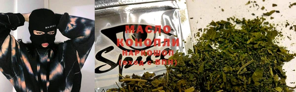 крисы Абаза