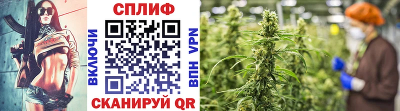 гидра зеркало  цена наркотик  Архангельск  Бошки Шишки THC 21% 